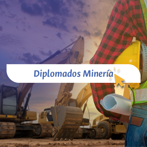 Cursos Empresariales Educación Continua Unal