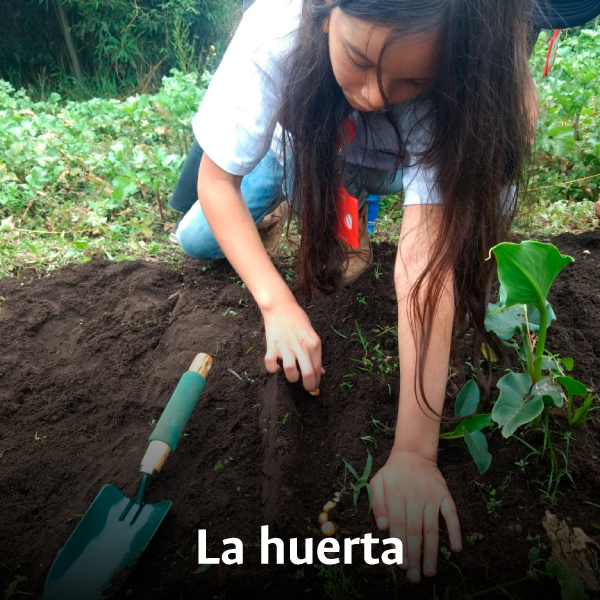 NINOS-HUERTA.png