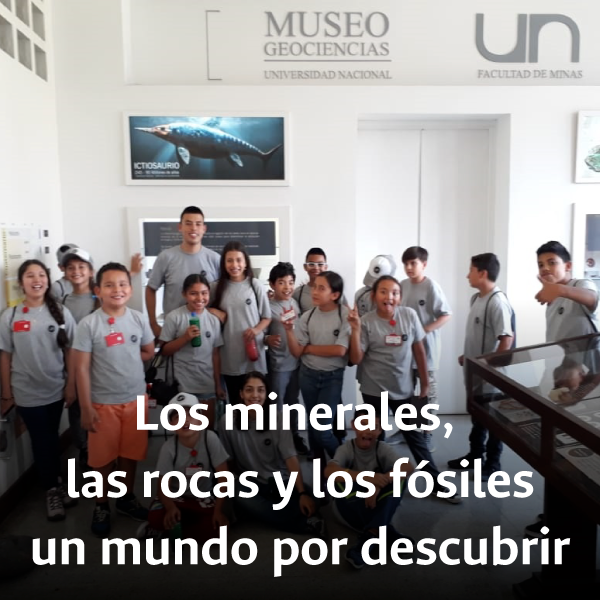 NINOS-MINERALES.png